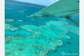 グレートバリアリーフ生息のサンゴ白化、観光地への影響はわずかな程度に