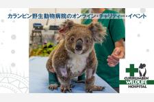 世界一忙しい野生動物病院の #StayHome チャリティーイベント