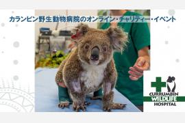 世界一忙しい野生動物病院の #StayHome チャリティーイベント