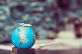 新型コロナウイルス感染症（COVID-19）に関する旅行者調査