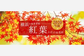 2020年版 横浜のおすすめ紅葉スポットと名所