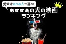 犬が登場するおすすめ映画ランキングTOP43　感動作からコメディまで