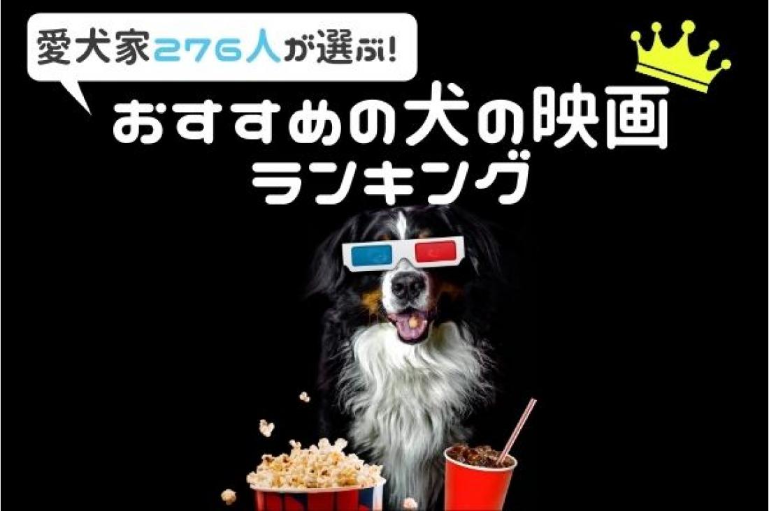 犬が登場するおすすめ映画ランキングtop43 感動作からコメディアまで Risvel