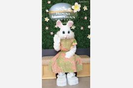 4月のイベント&プロモーション情報