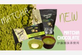 伊藤園×ハワイアンホースト 本格的な抹茶マカデミアナッツチョコレート ハワイアンホースト公式通販で先行発売