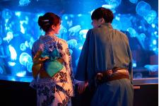 夏に涼やかな空間を演出する京都水族館のユニークなイベント「くらげと風鈴」開催