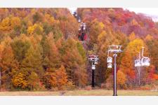 大自然の紅葉を楽しむ「裏磐梯紅葉ロープウェイ」秋の運行開始