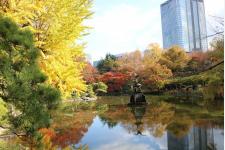 東京都千代田区の「秋の紅葉スポット」5選！