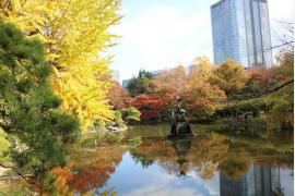 東京都千代田区の「秋の紅葉スポット」5選！