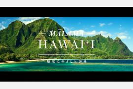 マラマハワイ動画が再生回数100万回を突破！2021年の動画再生ランキングを発表