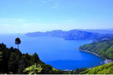 賤ケ岳リフト線路沿いの「シャガの花」が４月中旬～５月中旬頃まで見頃