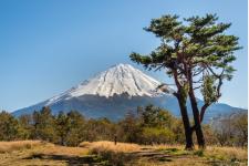 『世界遺産の歩き方　学んで旅する!すごい世界遺産190選』旅の図鑑シリーズから発売