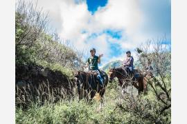 クアロア・ランチの海と山の自然を満喫できる「乗馬ツアーパッケージ」が再開