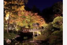 横浜の名勝「三溪園」完成100周年記念 紅葉ライトアップ