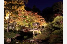 横浜の名勝「三溪園」完成100周年記念 紅葉ライトアップ