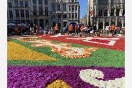 大阪・関西万博へ続く花の絨毯「Osaka Flower Carpet 2022」開催