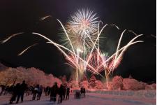 厳寒の夜空に舞う花火「十和田湖冬花火」
