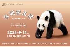 ジャイアントパンダ永明の31歳の誕生を祝う誕生祭 9月14日（木）
