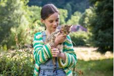 【編集部推薦映画】パリを舞台に少女と猫が愛らしく描かれている愛猫たちの物語