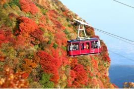 長崎県雲仙市で事前予約制の紅葉狩り