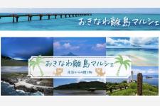 沖縄の離島にしかない宝物を一堂に集めたWEBショッピングモール