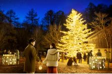 幸せの象徴「やどりぎ」で街を彩る「軽井沢星野エリアのクリスマス2023」