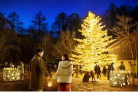 幸せの象徴「やどりぎ」で街を彩る「軽井沢星野エリアのクリスマス2023」
