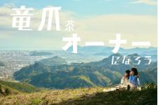 幻の産地の「茶樹オーナー」制度が生み出す豊かな日常とお茶の未来