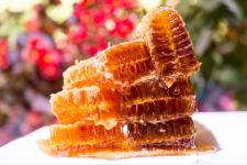 トルコの東アナトリア地方とダッチャ半島の美味しい蜂蜜を求めて
