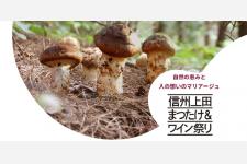 信州グルメと千曲川ワインバレーのワインを楽しむ「信州上田まつたけ＆ワイン祭り2024」