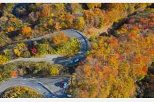 紅葉シーズン本格化！日光市内の紅葉最新情報といろは坂渋滞解消プロジェクト