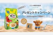 「フルグラ®トロピカルココナッツ味」と公式キャラクター「Shakaちゃん」グッズが当たるプレゼントキャンペーン