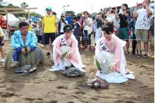 徳島県美波町で上陸・産卵を祈願する伝統行事「第62回日和佐うみがめまつり」開催（7/12）