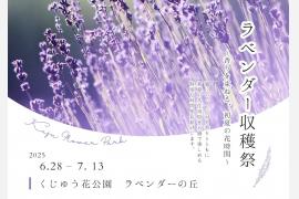九州でも数少ないラベンダー摘み取り体験スポット「くじゅう花公園」ラベンダー収穫祭