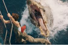 【編集部推薦映画】「ジュラシック」シリーズの新章としての幕開け『ジュラシック・ワールド／復活の大地』公開