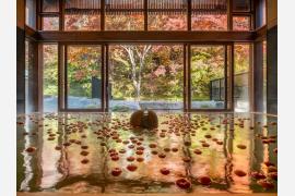 軽井沢星野エリア、長野県産りんごを温泉・スイーツ・ワークショップで堪能するイベント開催