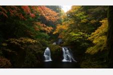 三重・赤目四十八滝で紅葉が見頃。夜は「三重赤目 滝あかり」ライトアップで幻想の渓谷体験