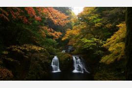 三重・赤目四十八滝で紅葉が見頃。夜は「三重赤目 滝あかり」ライトアップで幻想の渓谷体験