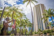 ワイキキで味わう「地産ハチミツ」─ ハイアットが始めた養蜂プロジェクト