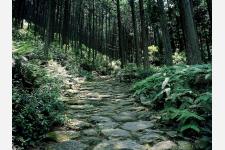 熊野古道の人気峠と周辺おすすめスポット