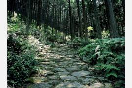 熊野古道の人気峠と周辺おすすめスポット