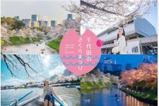 皇居千鳥ヶ淵 夜桜ライトアップと「千代田のさくらまつり」2026春シーズン（3/5 〜 4/22）