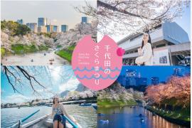 皇居千鳥ヶ淵 夜桜ライトアップと「千代田のさくらまつり」2026春シーズン（3/5 〜 4/22）