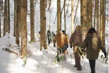 北海道八雲町でヒグマ共生を考える体験型ツアー実施