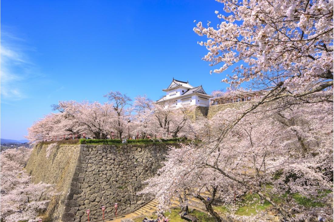 岡山県内5カ所の桜スポット3月下旬から順次見頃―「日本さくら名所100選」から瀬戸内海を望む絶景まで