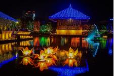 祈りと祝祭に彩られた島スリランカ　4月の新年祭と5月の仏教行事の季節に旅する