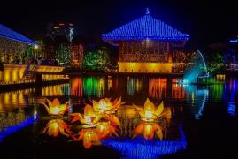 祈りと祝祭に彩られた島スリランカ　4月の新年祭と5月の仏教行事の季節に旅する