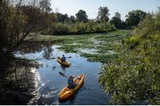 シアトル観光局、四季のアウトドア体験11選を紹介！「Nature's City」として自然と都市が調和する街の魅力