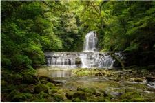 【九州】海と森が交わる宮崎・日南市　自然と温泉を軸にしたウェルネス旅