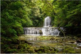 【九州】海と森が交わる宮崎・日南市　自然と温泉を軸にしたウェルネス旅